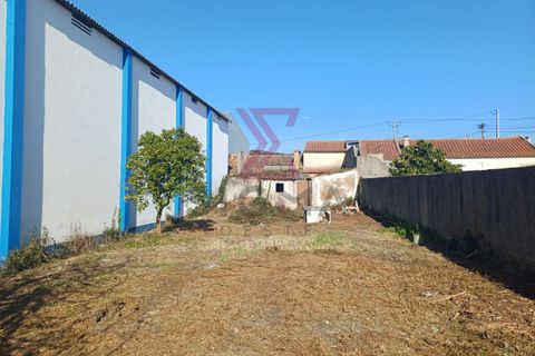 Villa i Bombarral, Leiria, Bombarral - € 117.000 | Ref: SFF 281 - foto 1