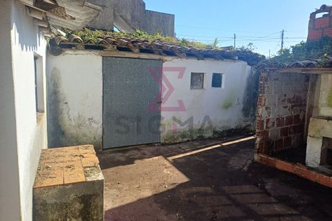 Villa i Bombarral, Leiria, Bombarral - € 117.000 | Ref: SFF 281 - foto 12