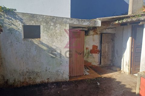 Villa i Bombarral, Leiria, Bombarral - € 117.000 | Ref: SFF 281 - foto 14
