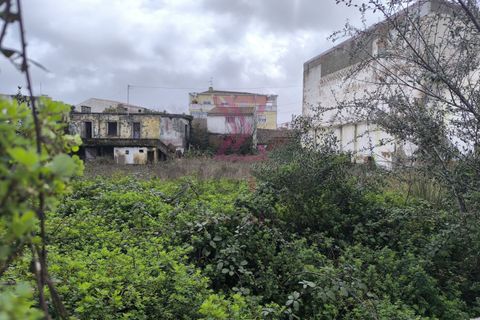 Helårsgrund i Bombarral, Leiria, Bombarral - € 220.000 | Ref: SRD286 - foto 6