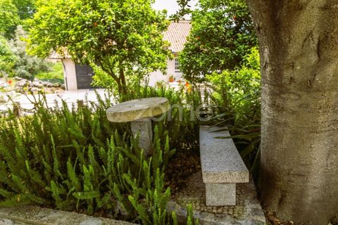 Villa i Penafiel, Porto, Penafiel - € 295.000 | Ref: ZMPT588867 - foto 27