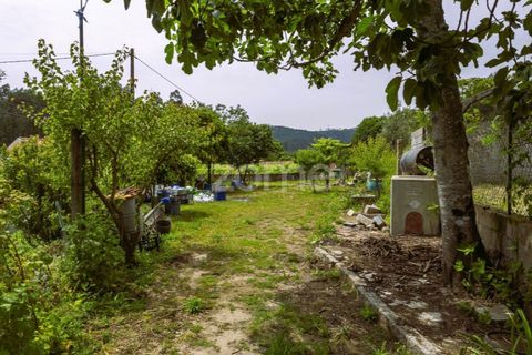 Villa i Penafiel, Porto, Penafiel - € 295.000 | Ref: ZMPT588867 - foto 40