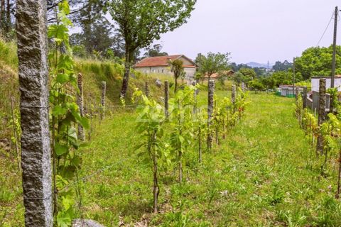 Villa i Penafiel, Porto, Penafiel - € 295.000 | Ref: ZMPT588867 - foto 44