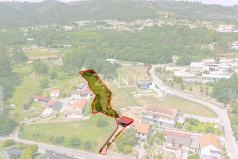 Villa i Penafiel, Porto, Penafiel - € 295.000 | Ref: ZMPT588867 - foto 46