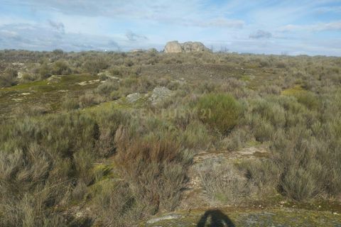 Helårsgrund i Guarda, Guarda, Guarda - € 37.000 | Ref: C0434-01300 - foto 1