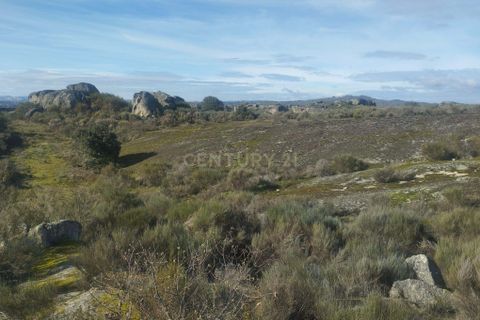 Helårsgrund i Guarda, Guarda, Guarda - € 37.000 | Ref: C0434-01300 - foto 3