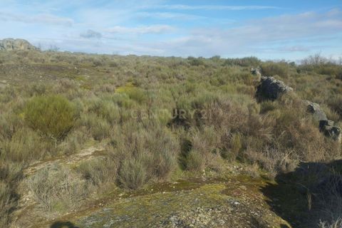 Helårsgrund i Guarda, Guarda, Guarda - € 37.000 | Ref: C0434-01300 - foto 6