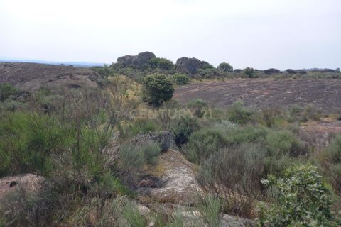Helårsgrund i Guarda, Guarda, Guarda - € 37.000 | Ref: C0434-01300 - foto 8