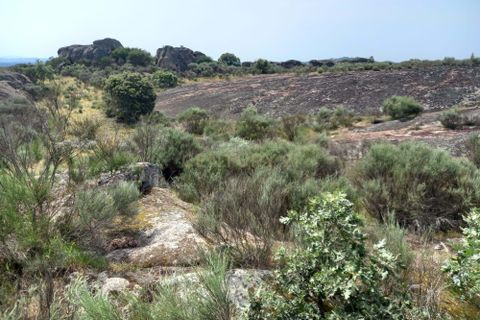 Helårsgrund i Guarda, Guarda, Guarda - € 37.000 | Ref: C0434-01300 - foto 13