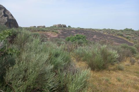 Helårsgrund i Guarda, Guarda, Guarda - € 37.000 | Ref: C0434-01300 - foto 15