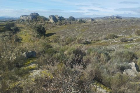 Helårsgrund i Guarda, Guarda, Guarda - € 37.000 | Ref: C0434-01300 - foto 19