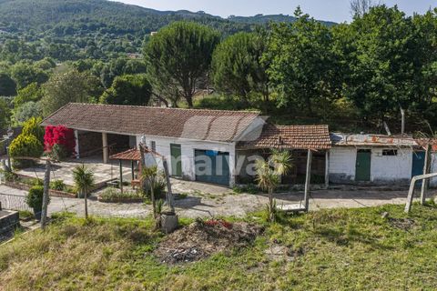 Villa i Vila Verde, Braga, Vila Verde - € 375.000 | Ref: A018-0195 - foto 23