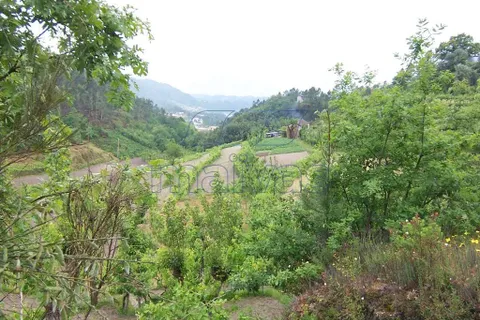 Villa i Amarante, Porto, Amarante - € 240.000 | Ref: A053-1964 - foto 4