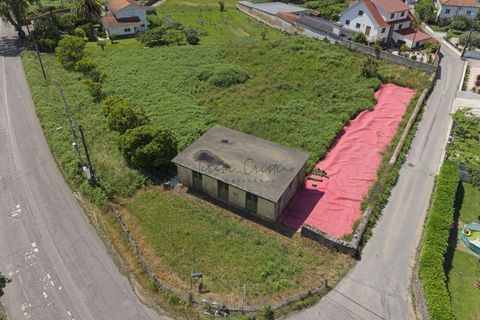 Helårsgrund i Ponte de Lima, Viana do Castelo, Ponte de Lima - € 250.000 | Ref: TC190 - foto 3