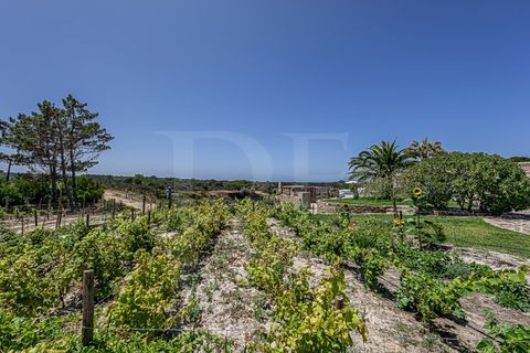 Farm i Odeceixe, Faro, Odeceixe - € 4.895.000 | Ref: 1515JNC - foto 39