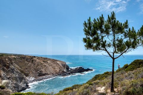 Farm i Odeceixe, Faro, Odeceixe - € 4.895.000 | Ref: 1515JNC - foto 43