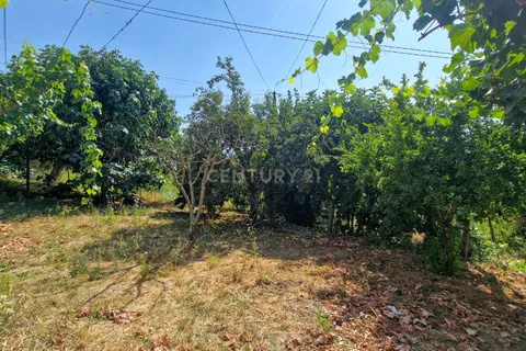 Villa i Lamego, Viseu, Lamego - € 95.000 | Ref: C0203-02505 - foto 13