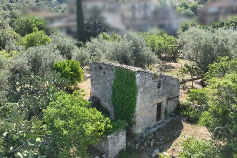Villa i Modica, Ragusa, Modica - € 50.000 | Ref: L 1919 - foto 2