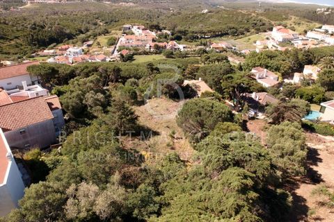 Helårsgrund i Alcabideche, Lisbon, Alcabideche - € 1.980.000 | Ref: T0332.SB.ES - foto 2