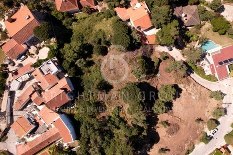Helårsgrund i Alcabideche, Lisbon, Alcabideche - € 1.980.000 | Ref: T0332.SB.ES - foto 6