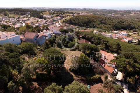 Helårsgrund i Alcabideche, Lisbon, Alcabideche - € 1.980.000 | Ref: T0332.SB.ES - foto 7