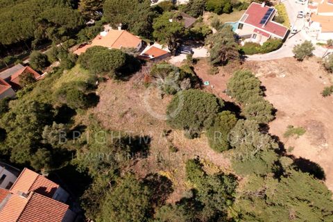 Helårsgrund i Alcabideche, Lisbon, Alcabideche - € 1.980.000 | Ref: T0332.SB.ES - foto 8
