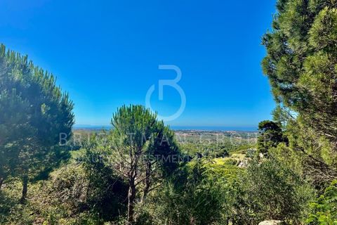 Helårsgrund i Alcabideche, Lisbon, Alcabideche - € 1.980.000 | Ref: T0332.SB.ES - foto 10