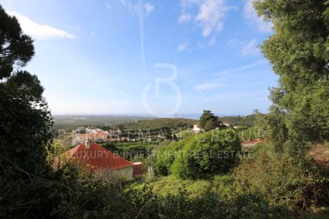 Helårsgrund i Alcabideche, Lisbon, Alcabideche - € 1.980.000 | Ref: T0332.SB.ES - foto 12