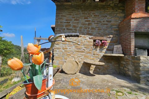 Villa a Acqui Terme, Alessandria, Acqui Terme - € 315.000 | Ref: 83269501 - foto 42