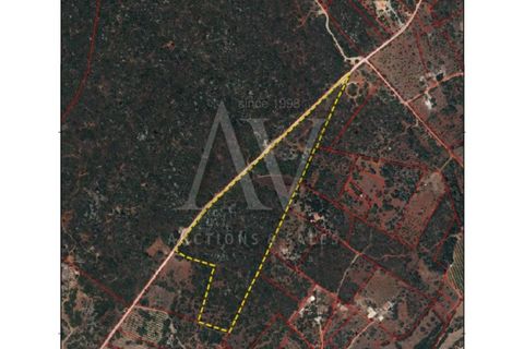 Helårsgrund i Moncarapacho, Faro, Moncarapacho - € 150.000 | Ref: LRA_2360 - foto 2