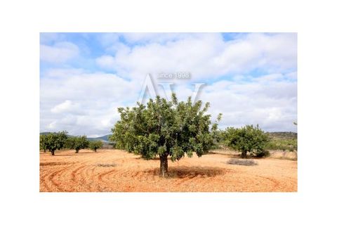 Helårsgrund i Moncarapacho, Faro, Moncarapacho - € 150.000 | Ref: LRA_2360 - foto 6
