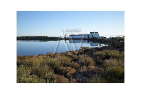 Helårsgrund i Moncarapacho, Faro, Moncarapacho - € 150.000 | Ref: LRA_2360 - foto 11