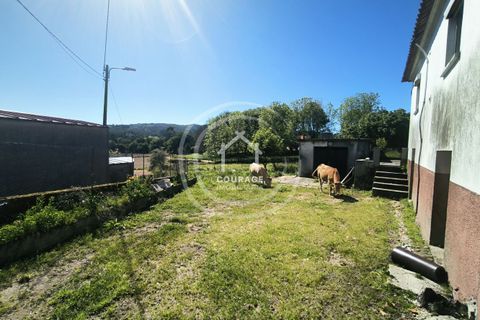Villa a Paredes de Coura, Viana do Castelo, Paredes de Coura - € 130.000 | Ref: CD0034 - foto 15