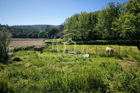 Villa a Paredes de Coura, Viana do Castelo, Paredes de Coura - € 130.000 | Ref: CD0034 - foto 17