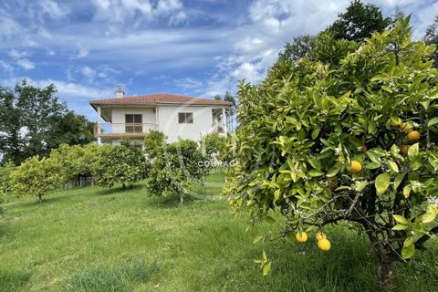 Landejendom i Ponte de Lima, Viana do Castelo, Ponte de Lima - € 570.000 | Ref: CD0052 - foto 6