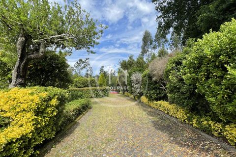 Landejendom i Ponte de Lima, Viana do Castelo, Ponte de Lima - € 570.000 | Ref: CD0052 - foto 10