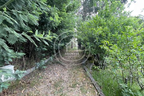 Landejendom i Ponte de Lima, Viana do Castelo, Ponte de Lima - € 570.000 | Ref: CD0052 - foto 14