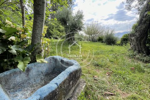 Landejendom i Ponte de Lima, Viana do Castelo, Ponte de Lima - € 570.000 | Ref: CD0052 - foto 19