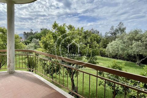 Landejendom i Ponte de Lima, Viana do Castelo, Ponte de Lima - € 570.000 | Ref: CD0052 - foto 27