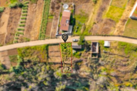 Helårsgrund i Calheta, Madeira, Calheta - € 35.000 | Ref: C0216-03164 - foto 2