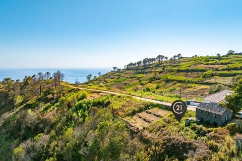 Helårsgrund i Calheta, Madeira, Calheta - € 35.000 | Ref: C0216-03164 - foto 6