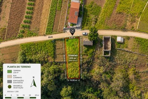 Helårsgrund i Calheta, Madeira, Calheta - € 35.000 | Ref: C0216-03164 - foto 12