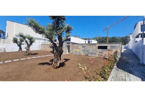 Villa i Esposende, Braga, Esposende - € 450.000 | Ref: 3001 - foto 14