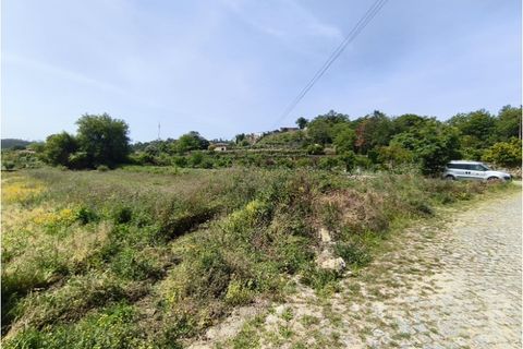 Terra a Curvos, Braga, Curvos - € 135.000 | Ref: 2997 - foto 2