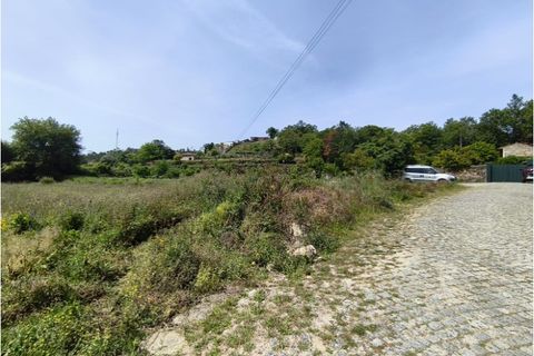 Terra a Curvos, Braga, Curvos - € 135.000 | Ref: 2997 - foto 3