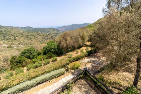 Villa i Monte Argentario, Grosseto, Monte Argentario - € 950.000 | Ref: 179 - foto 32