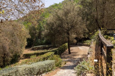 Villa i Monte Argentario, Grosseto, Monte Argentario - € 950.000 | Ref: 179 - foto 37