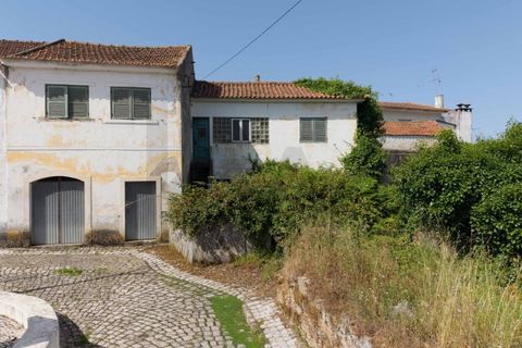 Farm i Maiorga, Leiria, Maiorga - € 110.000 | Ref: KWPT-033822 - foto 2