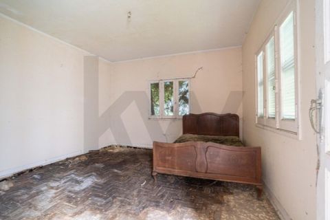 Farm i Maiorga, Leiria, Maiorga - € 110.000 | Ref: KWPT-033822 - foto 9