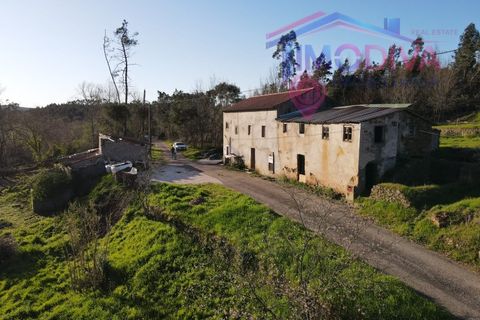 Landejendom i Serta, Castelo Branco, Serta - € 108.000 | Ref: VV465/0526 - foto 3